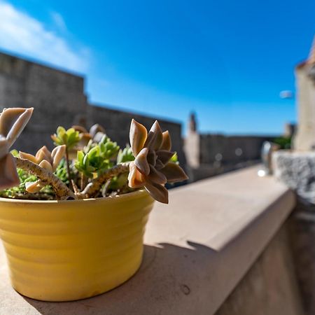 Villa Ragusa Vecchia Dış mekan fotoğraf