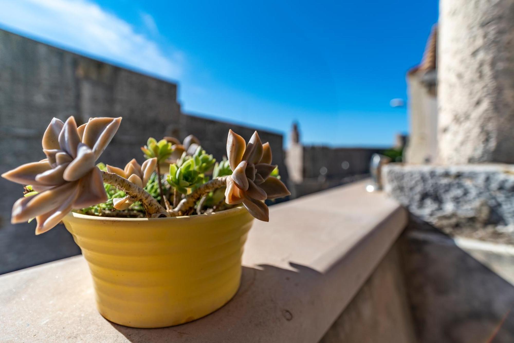 Villa Ragusa Vecchia Dış mekan fotoğraf