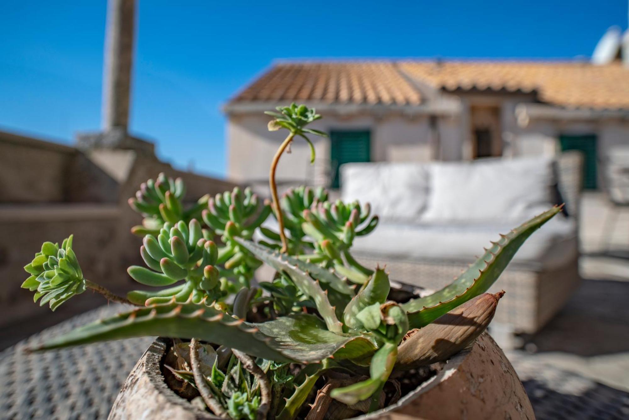 Villa Ragusa Vecchia Dış mekan fotoğraf