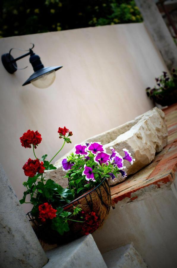 Villa Ragusa Vecchia Oda fotoğraf